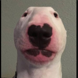 Meet your Posher, Gunnar